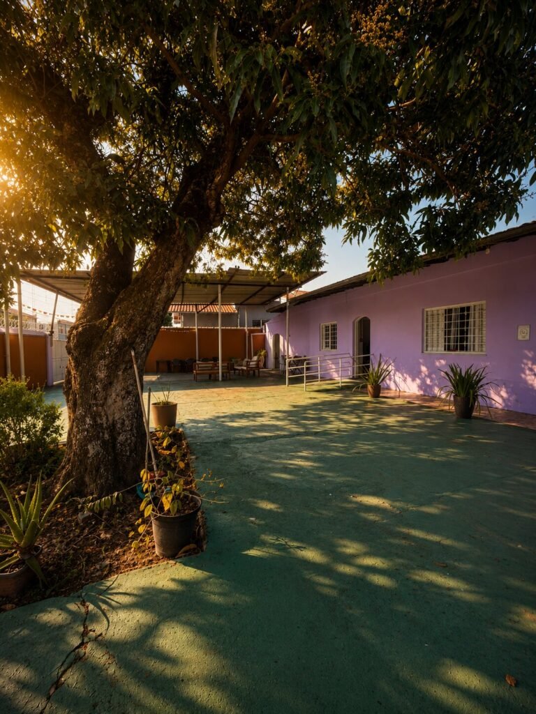 Pátio com mangueira e, ao fundo, a casa em lilás com rampa de acesso e área coberta de convivência